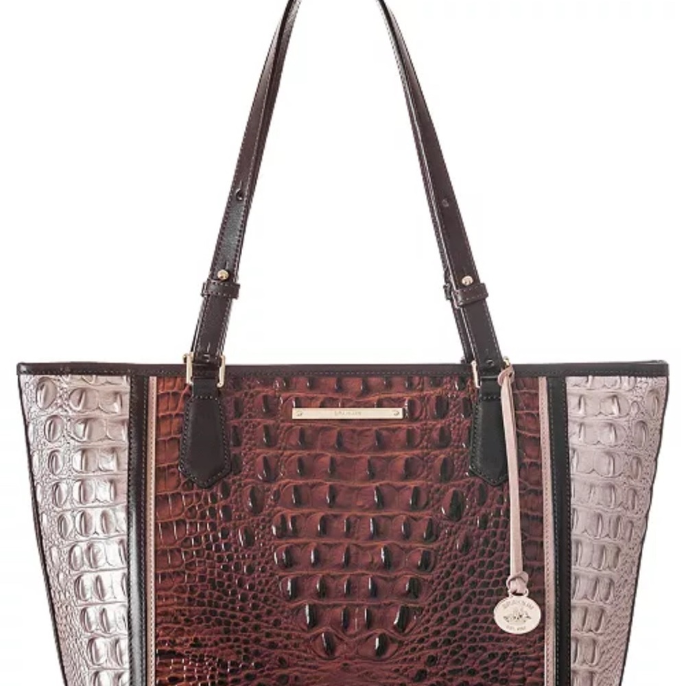 Brahmin Brown and Silver Tote Bag